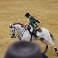 Castellón, Magdalena 2013