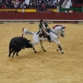 Castellón, Magdalena 2013