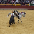 Castellón, Magdalena 2013