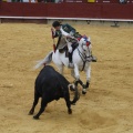 Castellón, Magdalena 2013