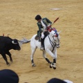 Castellón, Magdalena 2013