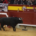 Castellón, Magdalena 2013