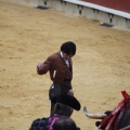 Castellón, Magdalena 2013