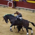 Castellón, Magdalena 2013