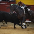 Castellón, Magdalena 2013