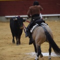 Castellón, Magdalena 2013
