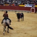 Castellón, Magdalena 2013