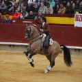 Castellón, Magdalena 2013