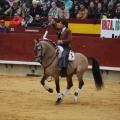 Castellón, Magdalena 2013