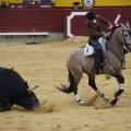 Castellón, Magdalena 2013