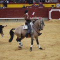 Castellón, Magdalena 2013