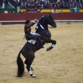 Castellón, Magdalena 2013