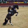 Castellón, Magdalena 2013