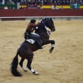 Castellón, Magdalena 2013