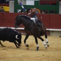 Castellón, Magdalena 2013
