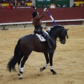 Castellón, Magdalena 2013