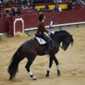 Castellón, Magdalena 2013