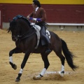 Castellón, Magdalena 2013