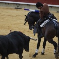 Castellón, Magdalena 2013