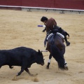 Castellón, Magdalena 2013