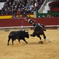 Castellón, Magdalena 2013