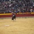 Castellón, Magdalena 2013