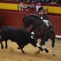 Castellón, Magdalena 2013