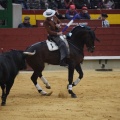 Castellón, Magdalena 2013