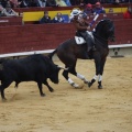 Castellón, Magdalena 2013