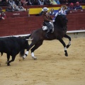 Castellón, Magdalena 2013