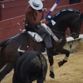 Castellón, Magdalena 2013