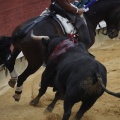 Castellón, Magdalena 2013