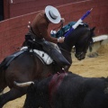Castellón, Magdalena 2013