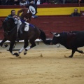 Castellón, Magdalena 2013