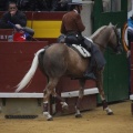 Castellón, Magdalena 2013
