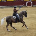 Castellón, Magdalena 2013