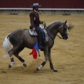 Castellón, Magdalena 2013