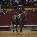 Castellón, Magdalena 2013