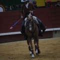 Castellón, Magdalena 2013
