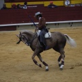Castellón, Magdalena 2013