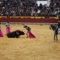 Castellón, Magdalena 2013