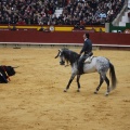 Castellón, Magdalena 2013
