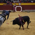Castellón, Magdalena 2013