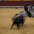 Castellón, Magdalena 2013