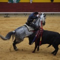 Castellón, Magdalena 2013