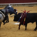 Castellón, Magdalena 2013
