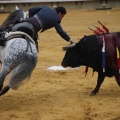 Castellón, Magdalena 2013