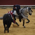 Castellón, Magdalena 2013