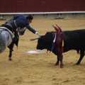 Castellón, Magdalena 2013