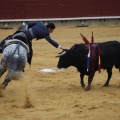 Castellón, Magdalena 2013